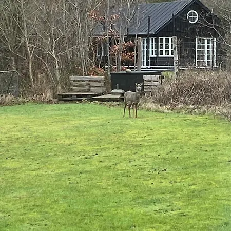 Unique New Beach-house I Seaview And Space Feriehus *