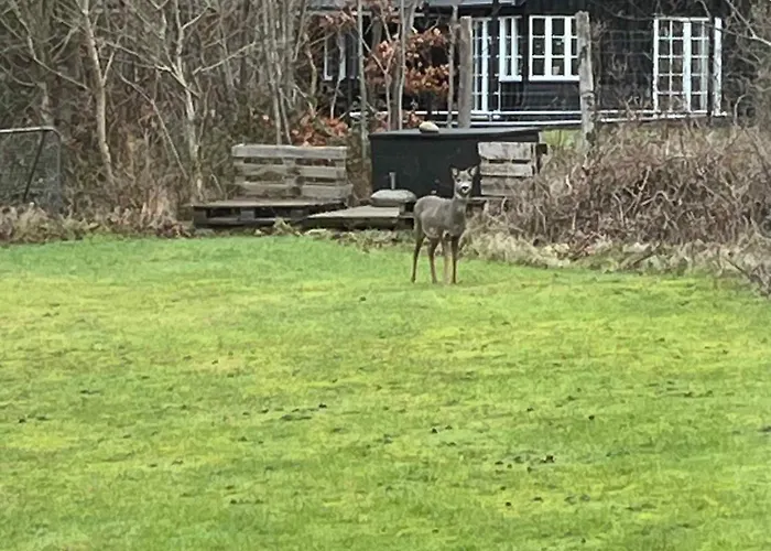 Unique New Beach-house I Seaview And Space Hébergement de vacances *